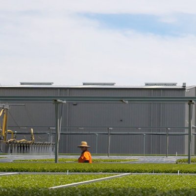 an overhead irrigator moving across trays of plant seedlings